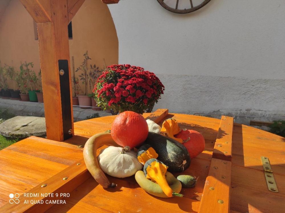 Apartman Pod Sribrnou Horou Lhenice Dış mekan fotoğraf