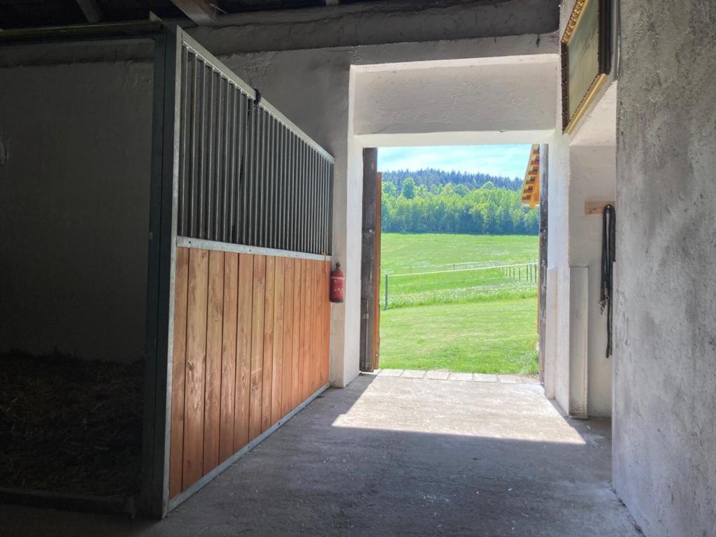 Apartman Pod Sribrnou Horou Lhenice Dış mekan fotoğraf